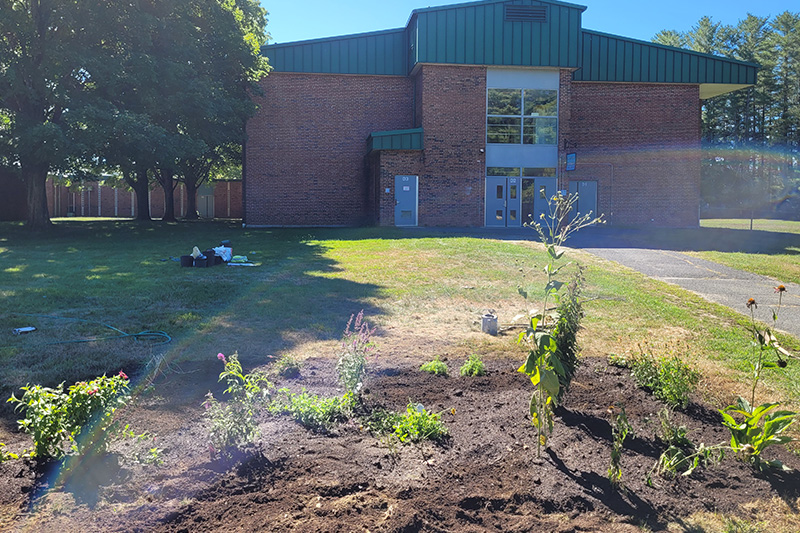 completed pollinator garden